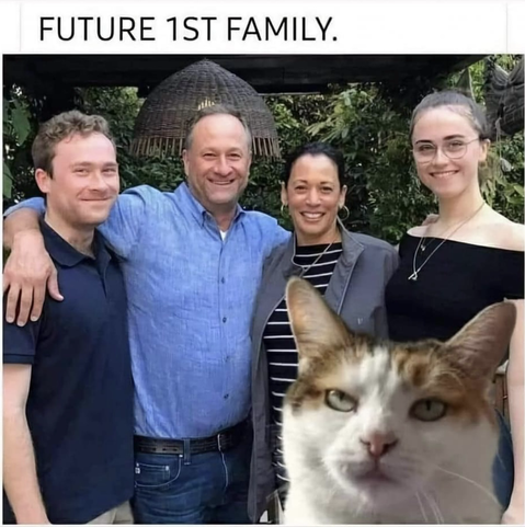 Future family with Harris and photobombed by a cat