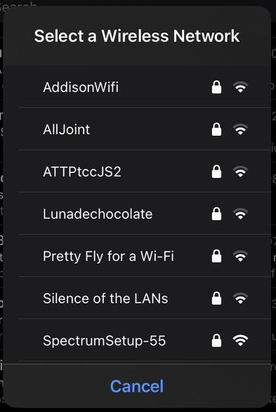 a list of local wifi network names, including “Pretty Fly for a Wi-Fi” and “Silence of the LANs”