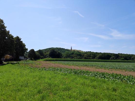 Halde Rheinpreußen