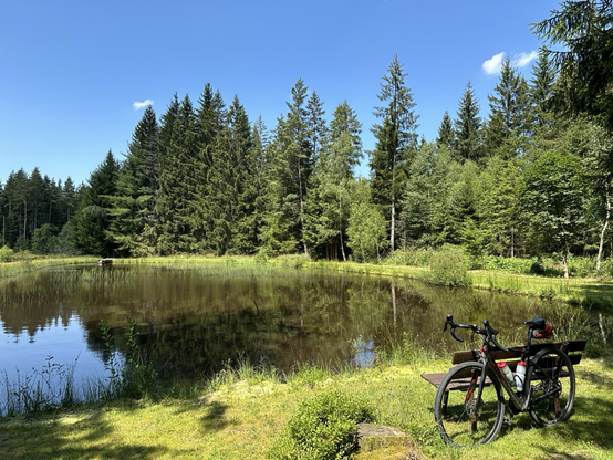 Fischzuchtteich mitten im Wald. Davor eine Bank mit meinem Rad unter blauem Himmel 