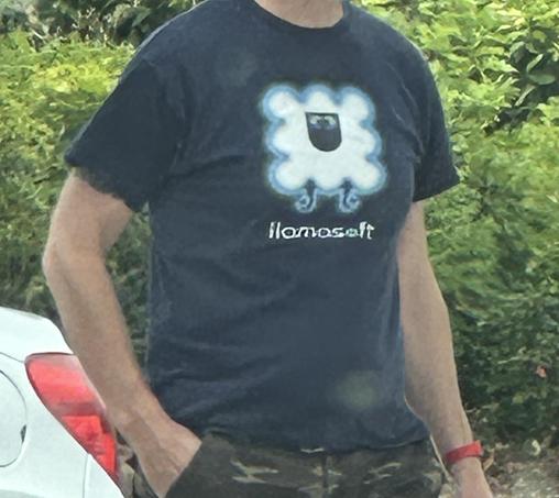 Close up of a T-shirt worn by a man. There is a llama soft logo on the T-shirt 
