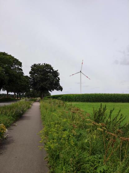 Windrad, Feld und Radweg