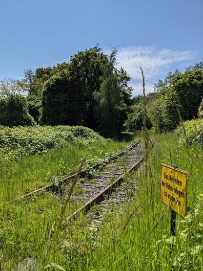 Eine verlassene Bahnlinie irgendwo im nirgendwo, alles ist grün und zugewachsen unter blauem Himmel. Neben den Schienen ein Schild mit der Aufschrift BETRETEN VERBOTEN