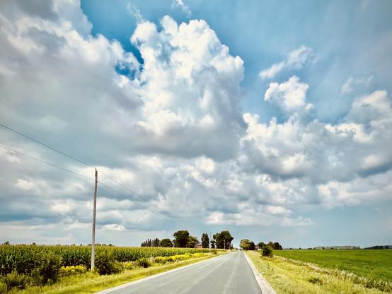A southern Ontario backroad arrows into the far distance under a sky of pale blue behind cumulus building, the developing cloud loosely organized along the lines of the white paisley pattern on a lovely young lady’s summer dress. The verges of the road are graduated shades of lime green; there is almost no gravel shoulder—rural municipalities cannot afford and do nit need such things. A lone telephone pole—looking like a list telegraph pole from some movie—stands off to the left, supporting two wires only visible where they are near to us. The sky dominates the shot. This could be Alberta or Montana or  who-knows-where further south…