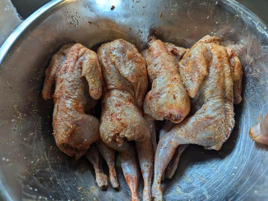 4 quail in a steel bowl with a liberal rub of salt, chili powder + paprika, lemon juice