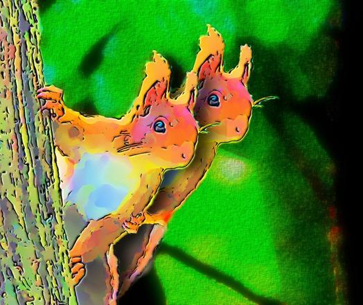 Ein Eichhörnchenpärchen lugt, sich hintereinander umarmend, neugierig hinter einem Baumstamm hervor und fragt sich was die Nachbarn wieder angestellt haben.

A couple of squirrels, hugging each other, curiously peek out from behind a tree trunk and wonder what the neighbours have been up to again.