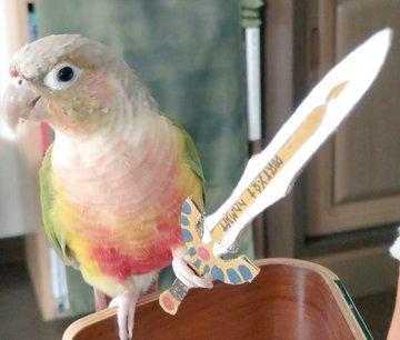 Parrot holding a cardboard cutout of Erdrick's Sword from Dragon Quest