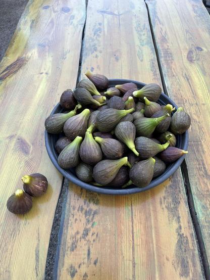 Grote plantenschaal met tientallen vijgen op een houten tafel. Twee erg rijpe vijgen los er naast. 