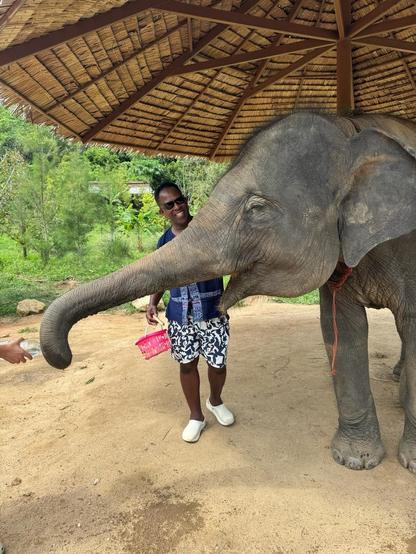 A person standing under a thatched roof shelter, smiling and feeding an elephant with a pink basket.