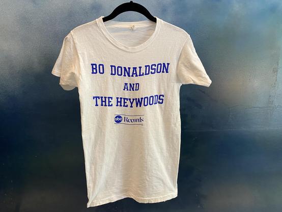 Bo Donaldson & The Heywoods il fullxfull 5335451663 sr8s