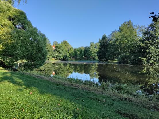 Riverside scene from this morning