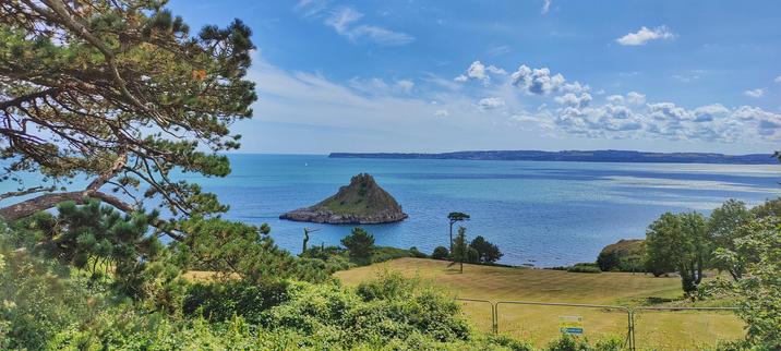 A pine? tree and a lawn leading down to the blue waters of Torbay. Thatcher Rock in the middle distance and Brixham and Berry Head in the far distance. All under a bright blue sky with a few fluffy clouds.