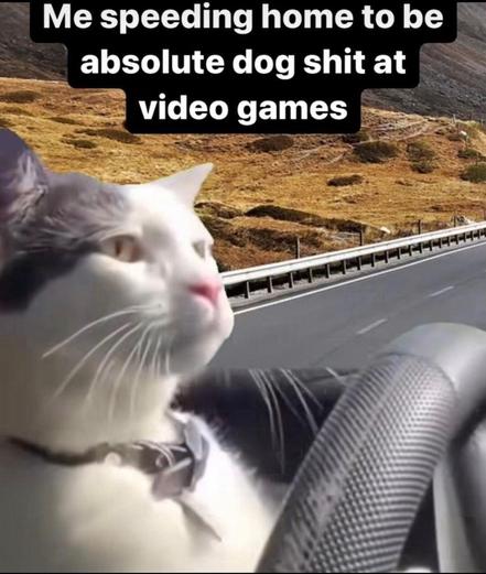 A cat behind the wheel of a car.  Captioned 