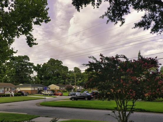 And the view down our side street to the west. I was trying to photograph the Myrtles before winds could strip the blossoms. A bit of careful rendering found the detail in the clouds and a bit of a blush. 