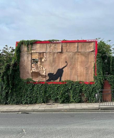 Streetart. A new Banksy mural of a black cat (or perhaps a panther) has been spray-painted on an old, large billboard with broken wood veneer panels. It is stretched out on the ground, looking upwards at a hole in the wall. The front legs are down, the hind legs and tail are up. The sides of the billboard are covered with green leaves, and in the photo a road passes in front of it.