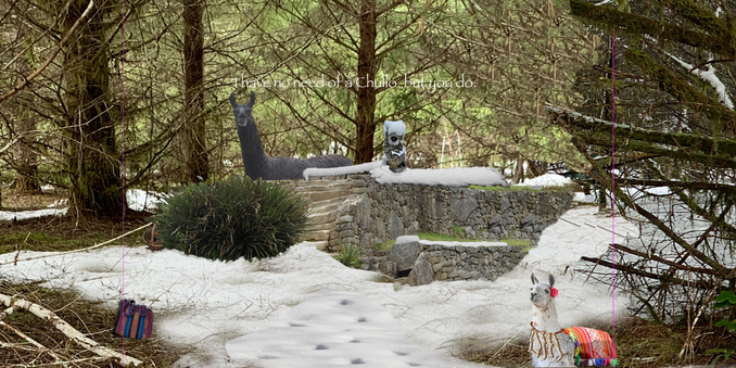 Snow scene with black llama and owl with snow on its head