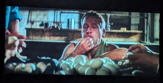 Paul Newman stuffing an egg in his mouth with a pile of eggs in the foreground