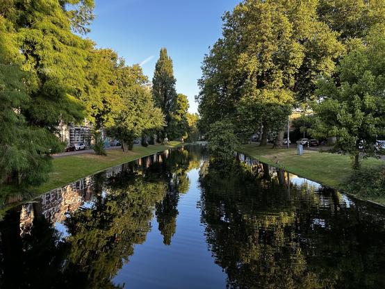 View on the Noordsingel in Rotterdam. The water is calm, the sky is blue and there are old trees lining both sides of the canal. Behind the trees are buildings from early 20th century.