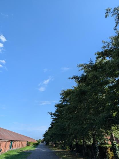 A photo a sunny sky. A spitfire can be seen very small in the distance by some trees.