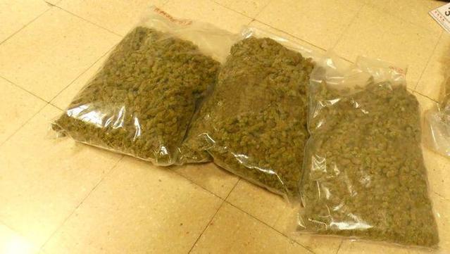 Cabdells de marihuana confiscats pels Mossos i la policia local de Roses a un jove de 20 anys (Mossos d'Esquadra)