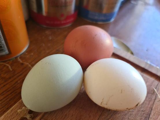 Three eggs on a messy chopping board. One of the eggs is white, another is brown. The third egg is light blue. 