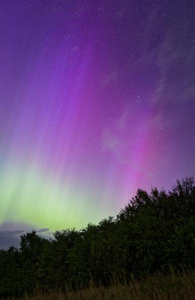 Brilliant aurora borealis display with vibrant purple, blue, red and green rays