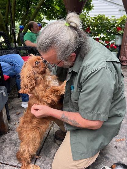 Empress Theodora; a ruby CKCS puppy mill survivor; sniffing to make sure it's me. She's standing on her hind legs, I'm on my knees and we're face to face.