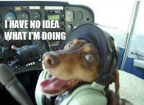 Meme of a dog with a headset in an aircraft cabin with text “I have no idea what I’m doing”