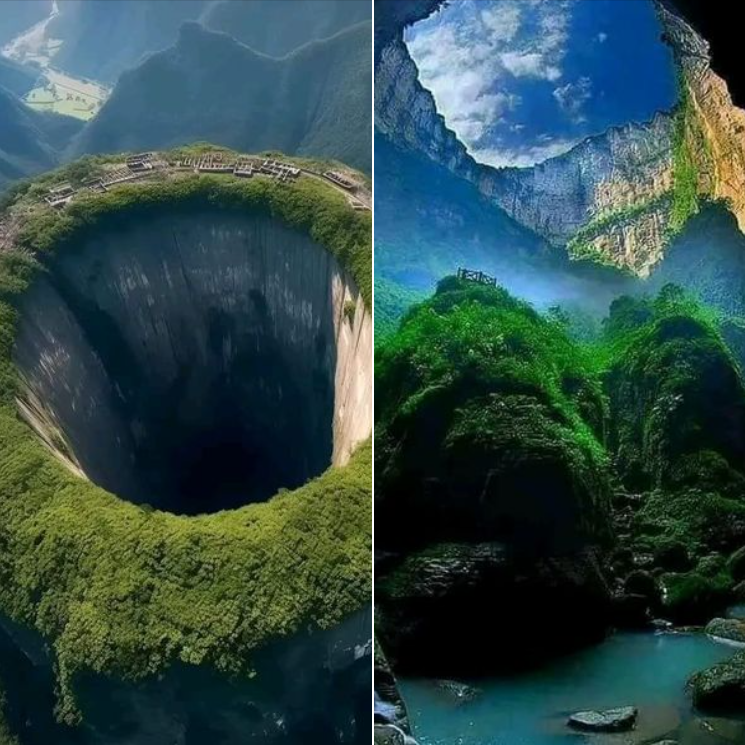 Global Museum: \, image size:745x745