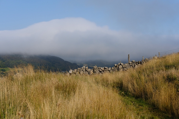 A sunny landscape with a bank of mist approaching.