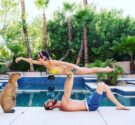 a person laying by a pool holds another  person up who is gesturing to a capybara