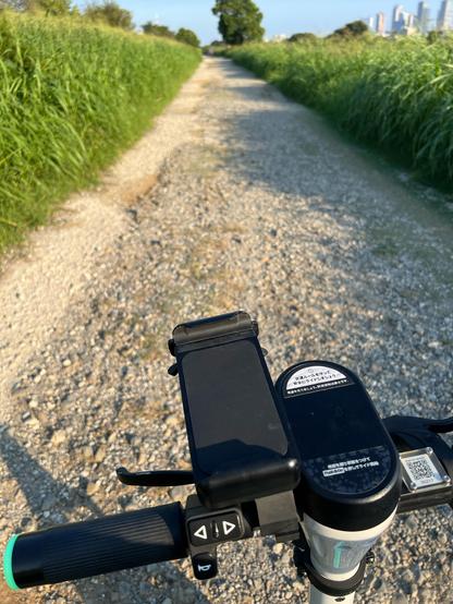 The handlebars of the scooter can be seen in the foreground and past that, an immensely bumpy looking path lined with tall grasses can be seen. The path is covered with loose rocks of different sizes. 