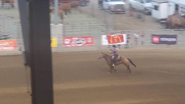 Person riding a brown horse, with the McDonalds flag in hand, which is a field of red and the Yellow M.