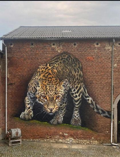 Streetartwall. A magnificent mural of a beige and white ocelot has been painted on the reddish-brown brick wall of an old farmhouse. The black spotted fur of the majestic little wild cat is beautifully drawn. It slinks across the wall, its gaze fixed on the viewer. Beautiful.
Info: The old farmhouse is part of the art center 