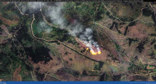 Forest_Fire_near_the_Brocken_peak,_Saxony-Anhalt,_Germany_-_September_7th,_2024_(53978431974).jpg