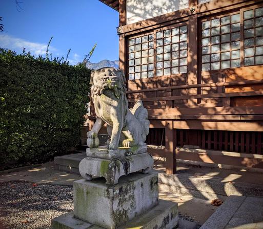 Komainu outside Sanjubanshindo 三十番神堂  next with a tall shrub hedge and a wooden building with sliding glass windows behind. Blue sky and the tops of distant mountain is behind and above the komainu
Next to Gokokuji
Shimabara Kyushu Japan #Photography 
Nov 2023