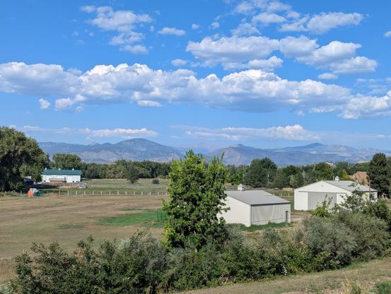 Rocky Mountains in the distance, with fluffy white clouds and blue skies above. Open fields with three white farm buildings. Some brush and  small trees in the foreground growing along a small creek ( not visible).