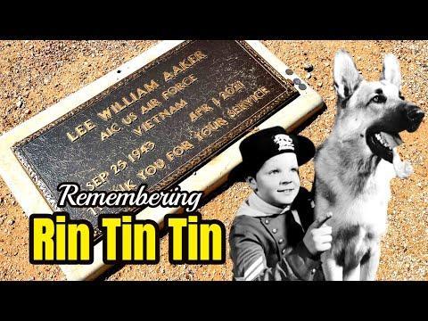 remember rin tin tin hqdefault