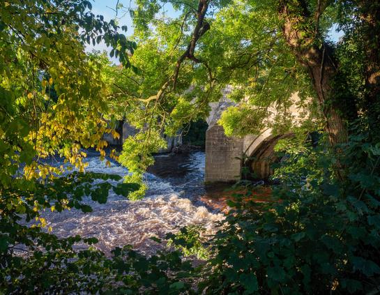 An old stone bridge glowing in morning sunshine through a cluttered frame of sunlit trees.