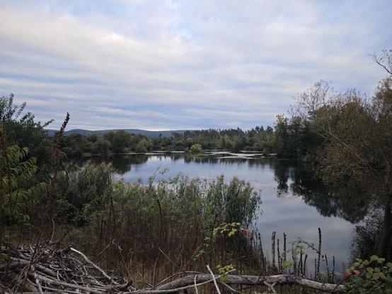 A lake, surrounded by trees and bushes, under a slightly cloudy sky