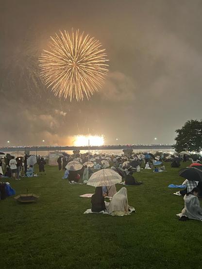 People sit on the grass under umbrellas as a firework circular explosion of yellow streaks and massive sparklers light up in the distance. 