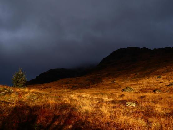 A photo of a cloudy winter day at sunrise in the Scottish Highlands. Background hills are dark, while the grass in the foreground is yellow in the light of the rising sun.