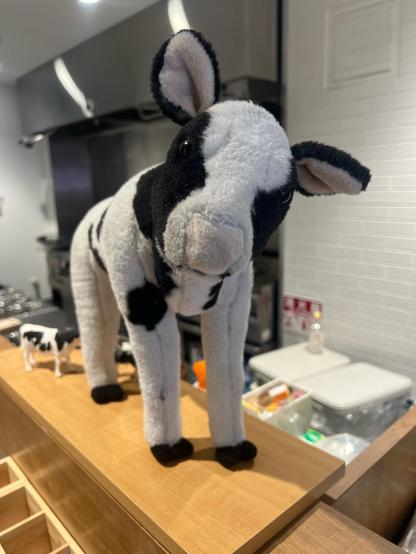 A tall stuff cow stands on a counter top looking cute. Behind the cow on the countertop are two smaller plastic cows, and you can see the ovens on the shop-side of the counter. 