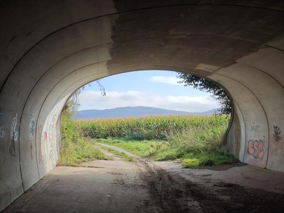 View through the end of a tunnel onto a cornfield, with some hills in the background.