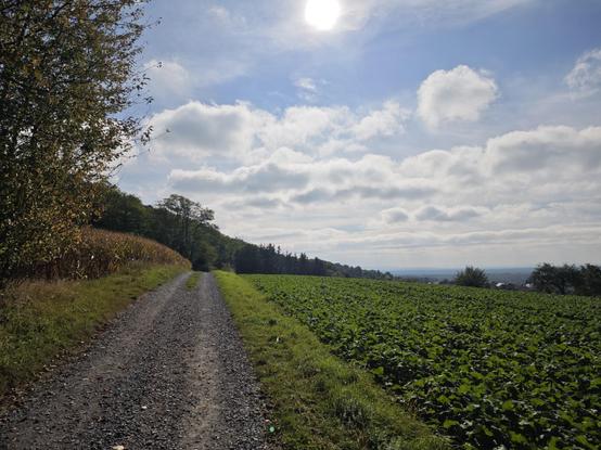 A gravel path to the left, a green field to the right, a hill-line with darker green trees in the background, all under a slightly clouded sky.