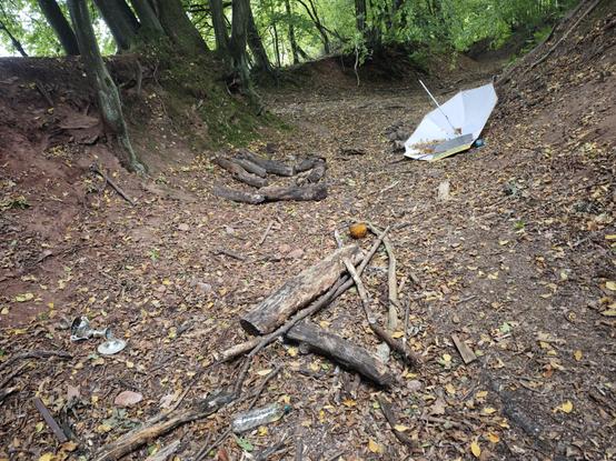 A random parasol and other stuff on a forest trail. Probably blown there from a property near by, by heavy wind.