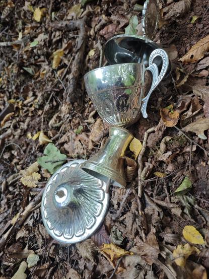 One of the items on the forest floor: a trophy, fallen apart. 😄