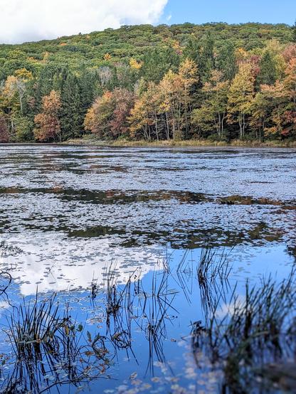 Lake at Beartown State Park.