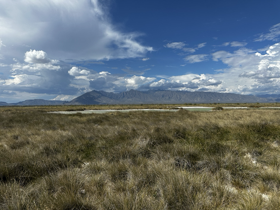 Desert grassland with small lakes in the middle ground, with mountains in the background under a cloud-filled sky 