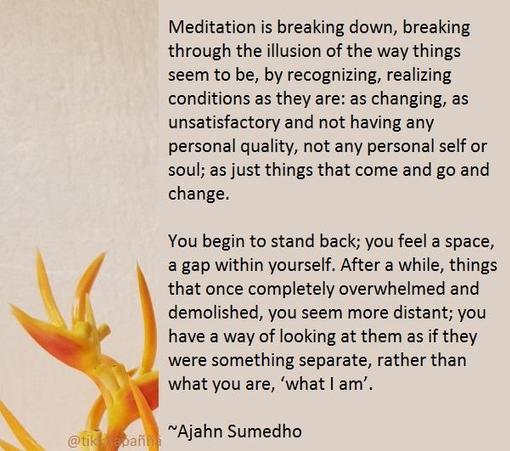 Meditation is breaking down, breaking through the illusion of the way things seem to be, by recognizing, realizing conditions as they are: as changing, as unsatisfactory and not having any personal quality, not any personal self or soul; as just things that come and go and change.
You begin to stand back; you feel a space, a gap within yourself. After a while, things that once completely overwhelmed and demolished, you seem more distant; you have a way of looking at them as if they were something separate, rather than what you are, ‘what I am’.
~Ajahn Sumedho